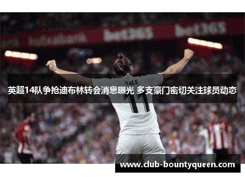 英超14队争抢迪布林转会消息曝光 多支豪门密切关注球员动态